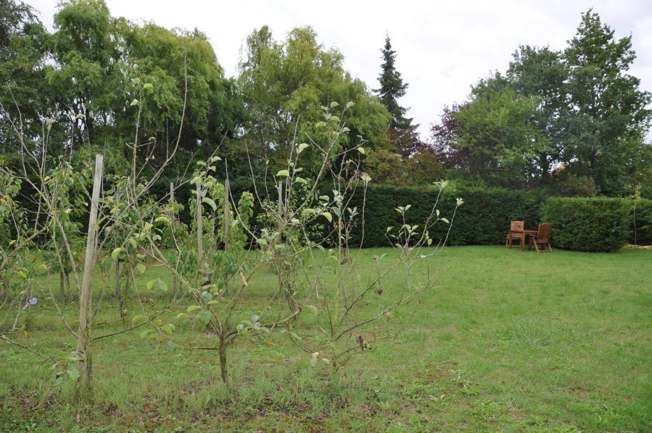 Appartement Het Sonnehuys à Nieuwland  Extérieur photo