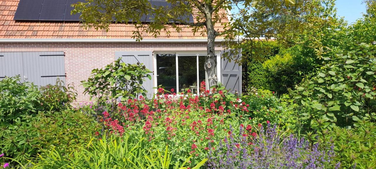 Appartement Het Sonnehuys à Nieuwland  Extérieur photo
